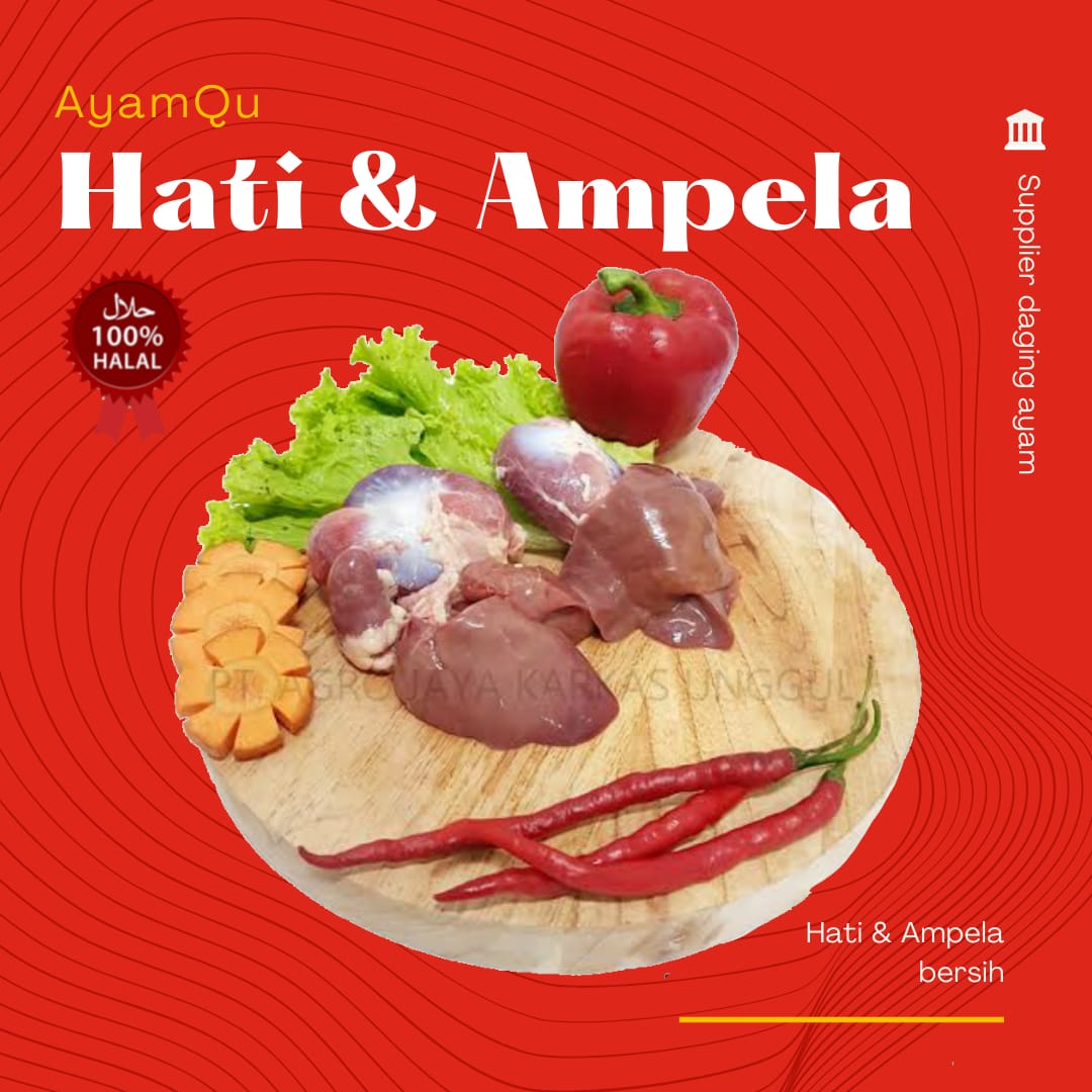 Hati + Ampela